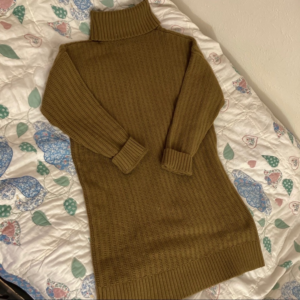 Banana Republic Olive Sweater Dress